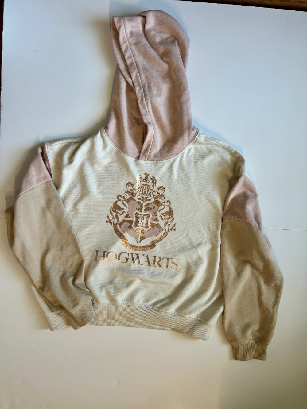 H&M Metallic HOGWARTS cropped hoodie